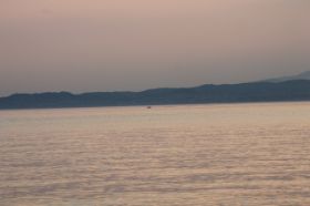 IMG_1239.JPG